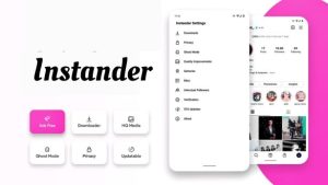 Instander